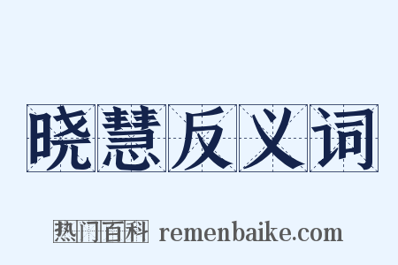 晓慧反义词是什么意思的图片